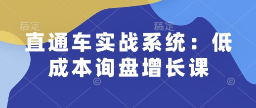 直通车实战系统：低成本询盘增长课，让个人通过技能实现升职加薪，让企业低成本获客，订单源源不断-精品资源站