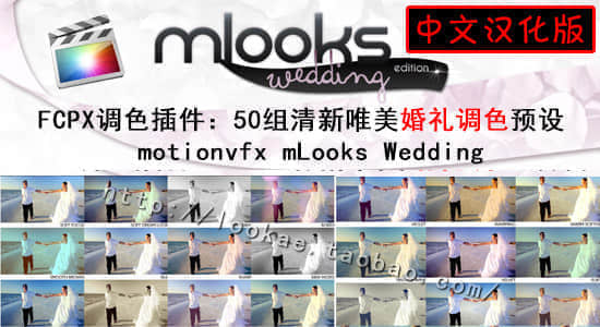 FCPX中文汉化插件：50组清新唯美婚礼调色 motionvfx mLooks Wedding-精品资源站