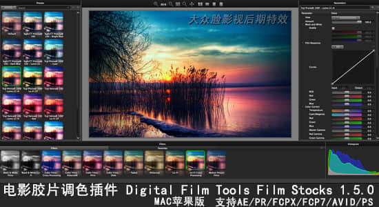 Mac版：AE/PR/FCPX 电影胶片调色插件 Digital Film Tools Film Stocks 1.5.0-精品资源站