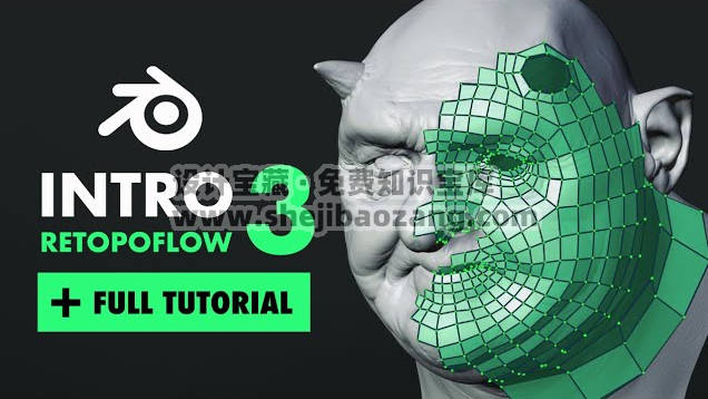 Blender头部模型重拓扑3D教程：FlippedNormals – RetopoFlow 3-精品资源站